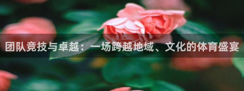 JJB竞技宝官方正版app娱乐是那个系列的台子:团队竞技与卓