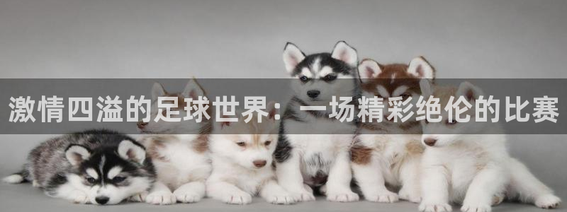 JJB竞技宝官方正版app娱乐40996:激情四溢的足球世界